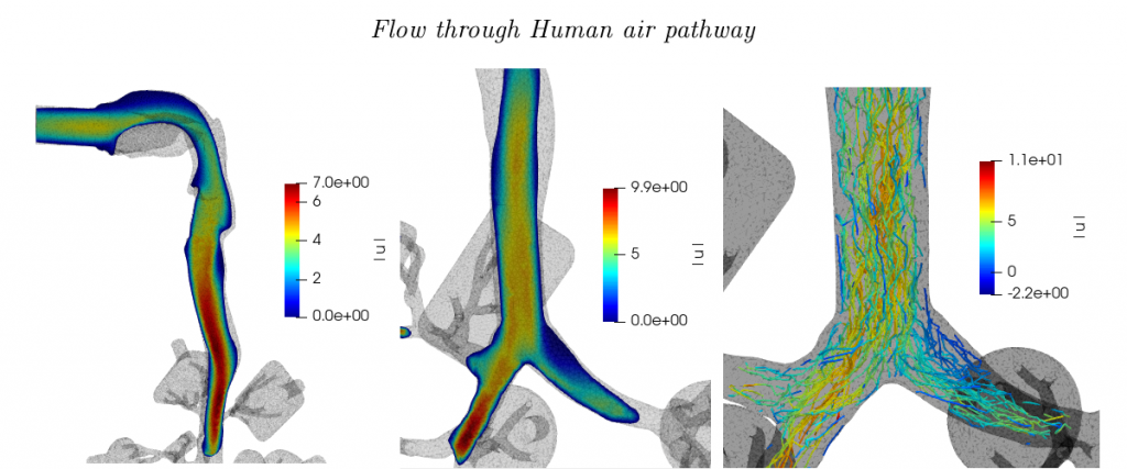 Fluid Flow